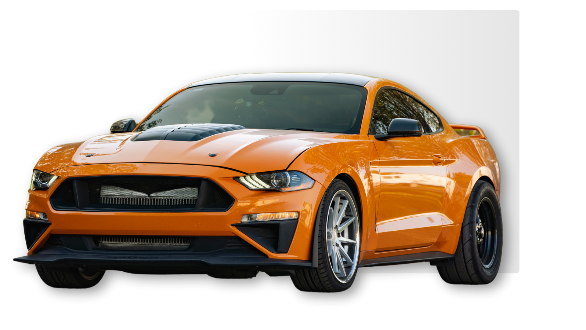 Projekt bez nazwy (7) Projekt bez nazwy (7)